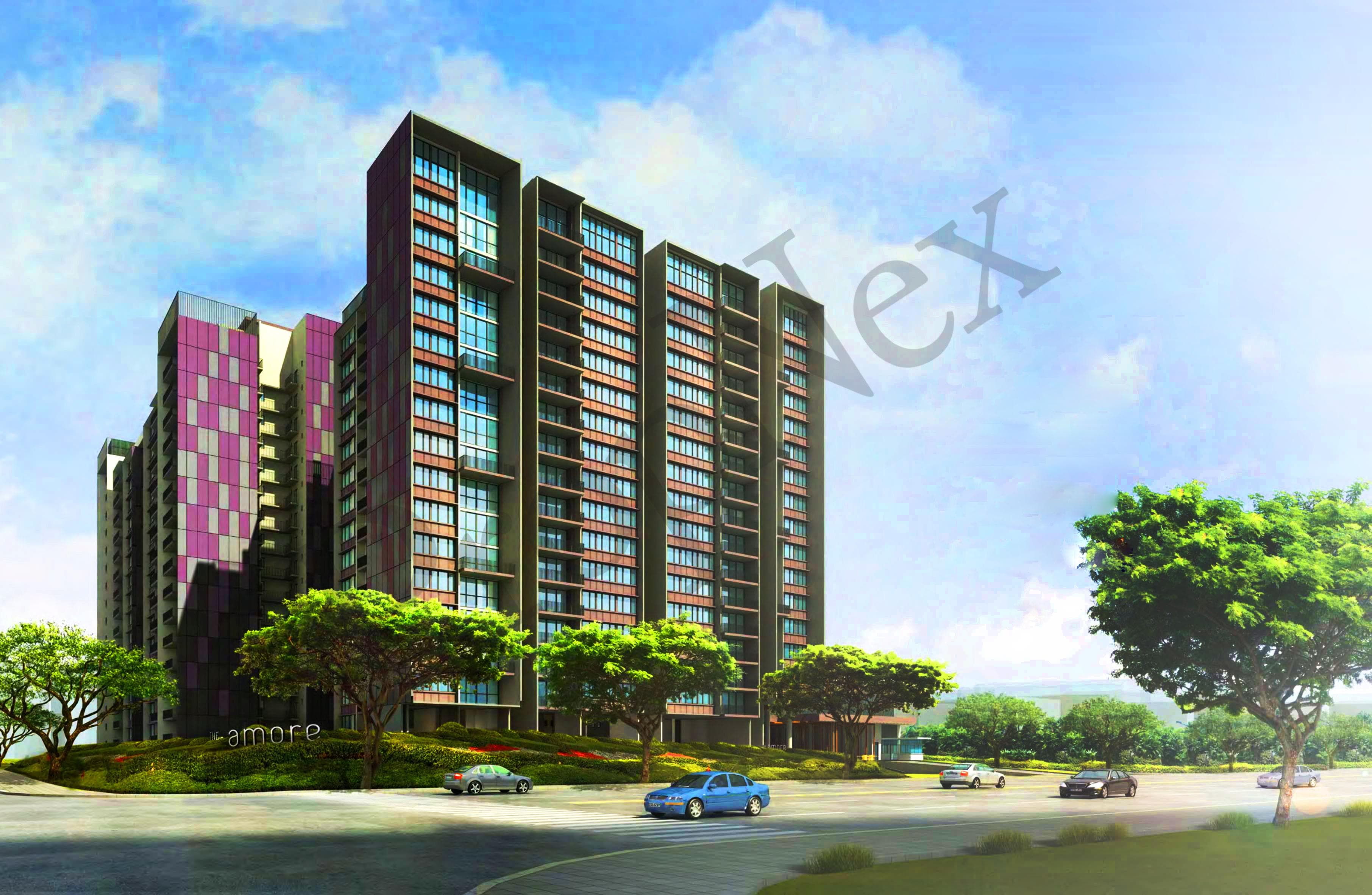 The Amore overview